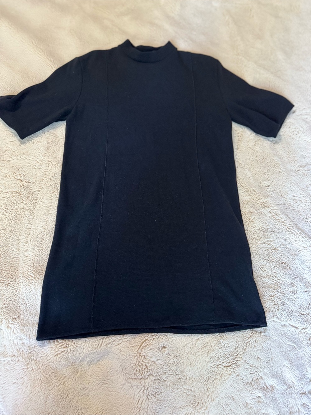 Zara mock neck mini dress with princess seams. Size small.